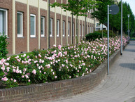 Eine kleine Auswahl unserer Referenzobjekte