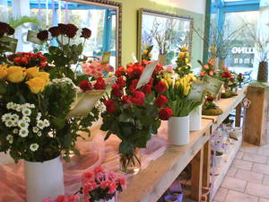 Frische Schnittblumen und Sträuße bringen Frühlingsgefühle - zu jeder Jahreszeit