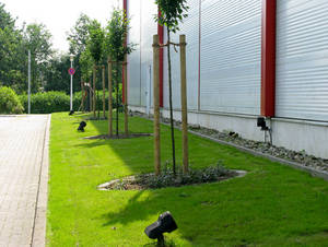 Objektpflege im gewerblichen Bereich